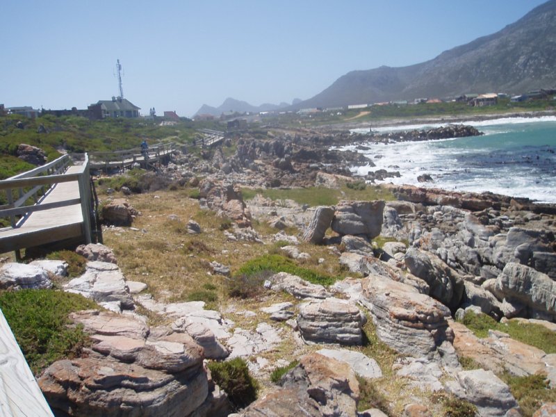 KeHa_in_South_Africa - 168